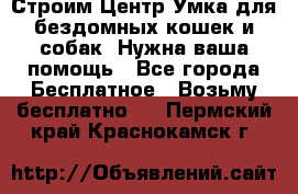 Строим Центр Умка для бездомных кошек и собак! Нужна ваша помощь - Все города Бесплатное » Возьму бесплатно   . Пермский край,Краснокамск г.